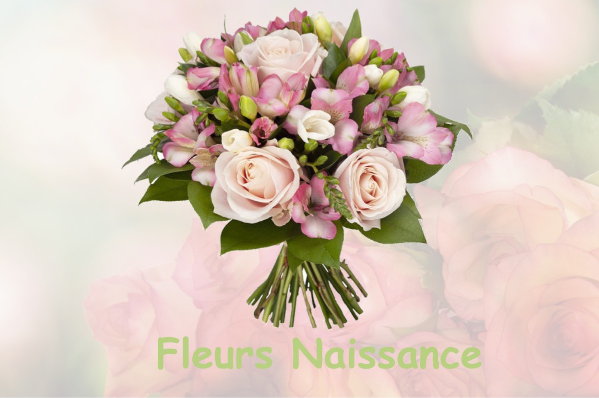 fleurs naissance SAINT-EUSEBE-EN-CHAMPSAUR